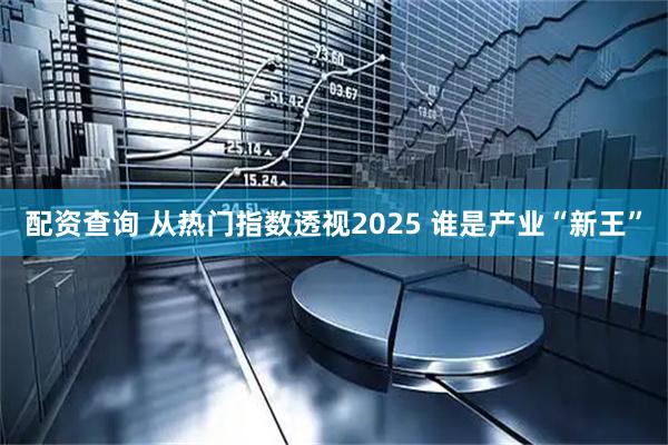 配资查询 从热门指数透视2025 谁是产业“新王”