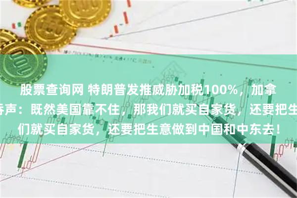 股票查询网 特朗普发推威胁加税100%，加拿大总理卡尼不再忍气吞声：既然美国靠不住，那我们就买自家货，还要把生意做到中国和中东去！