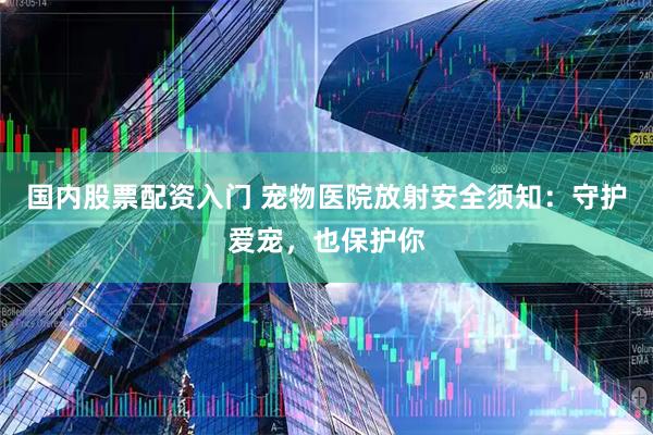 国内股票配资入门 宠物医院放射安全须知：守护爱宠，也保护你
