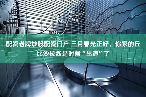 配资老牌炒股配资门户 三月春光正好，你家的丘比沙拉酱是时候“出道”了